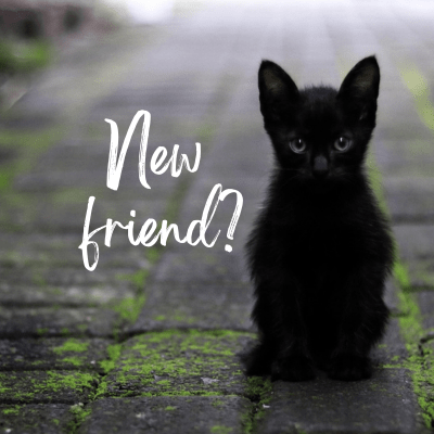 Welcome to Fray Dikat&nbsp;Studio